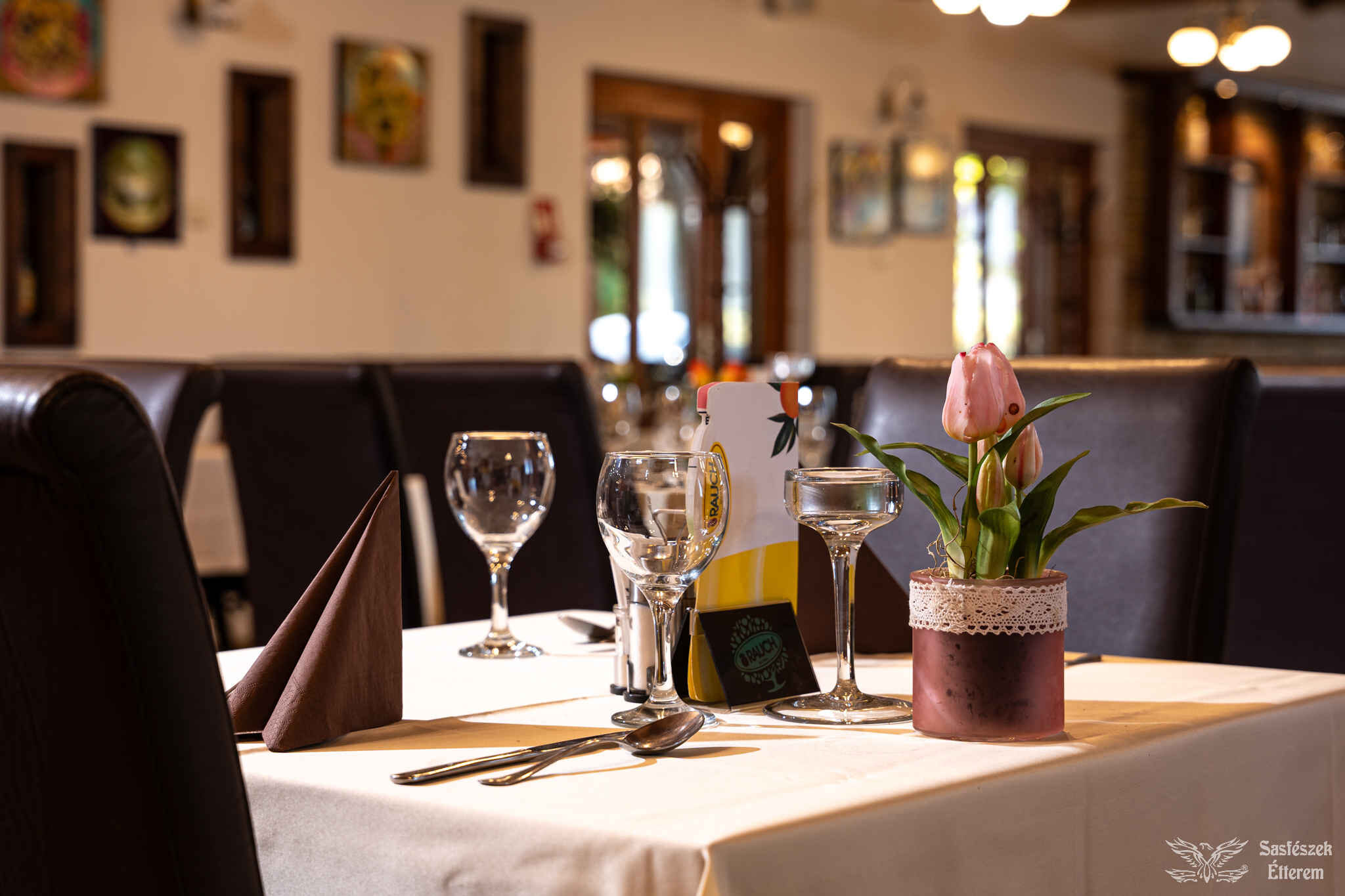 Sasfészek_Képgaléria