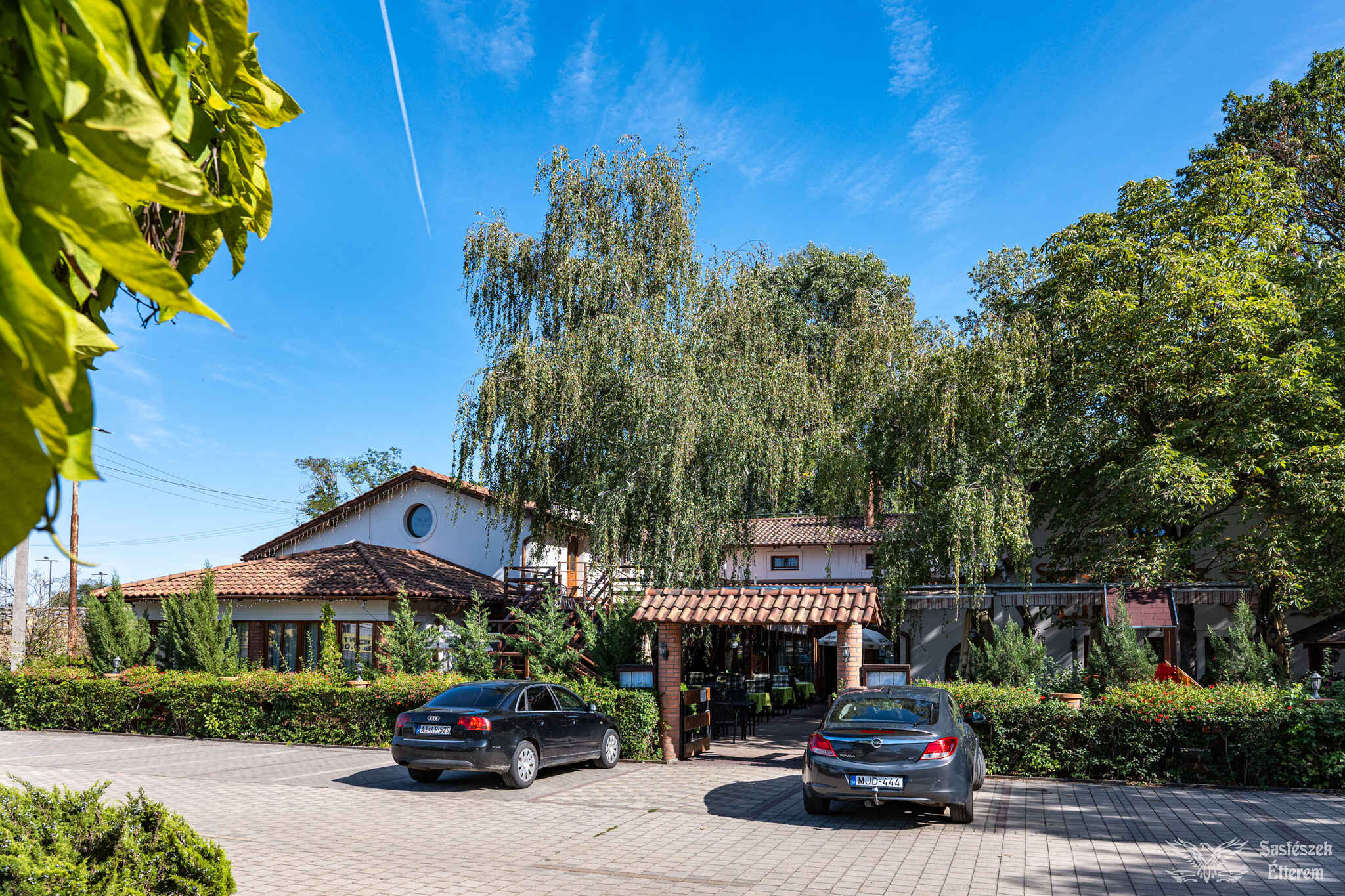 Sasfészek_Képgaléria